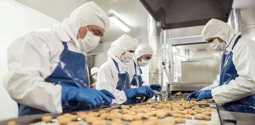 食品厂管道与设备清洗消毒灭菌全攻略 清洗刷的选择与应用