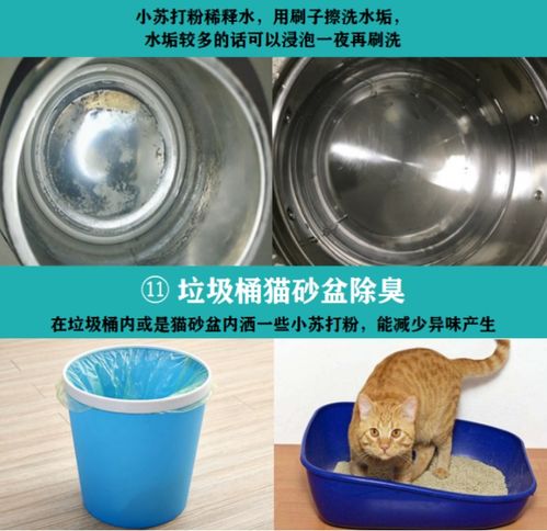 一物多用，清洁无忧——小苏打粉的全方位清洁指南